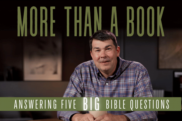 More Than a Book Study Cover