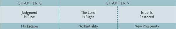 Walk Thru the Bible