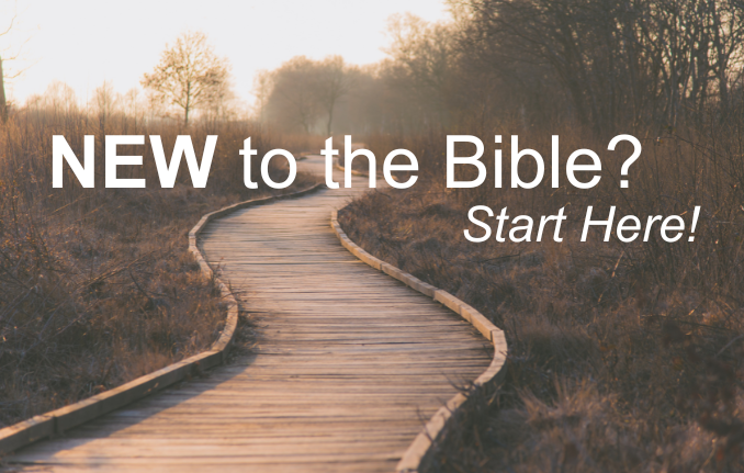 Empty pathway at sunset with the quote "New to the Bible? Start Here!"