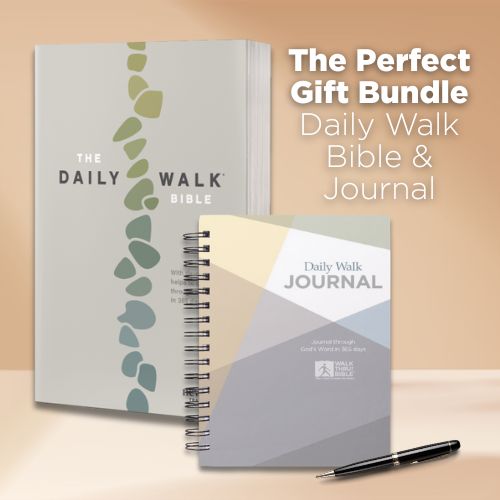 The Daily Walk Bible and Journal Bundle