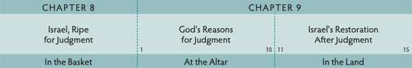 Walk Thru the Bible