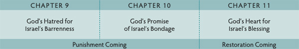 Walk Thru the Bible