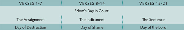 Walk Thru the Bible