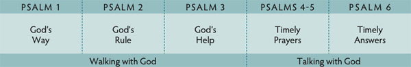 Walk Thru the Bible