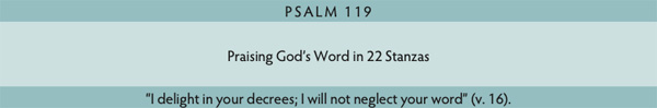 Walk Thru the Bible