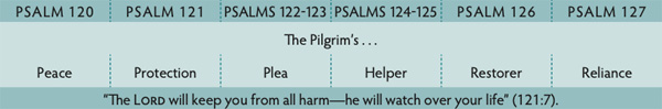 Walk Thru the Bible