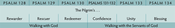 Walk Thru the Bible