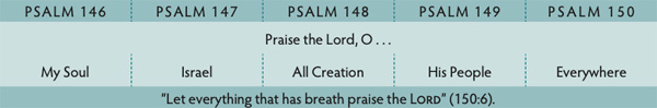 Walk Thru the Bible