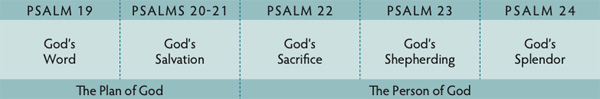 Walk Thru the Bible