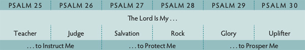 Walk Thru the Bible