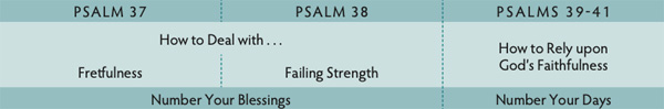 Walk Thru the Bible