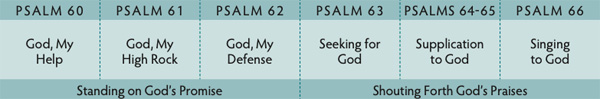 Walk Thru the Bible