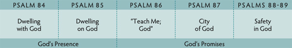 Walk Thru the Bible