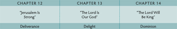 Walk Thru the Bible
