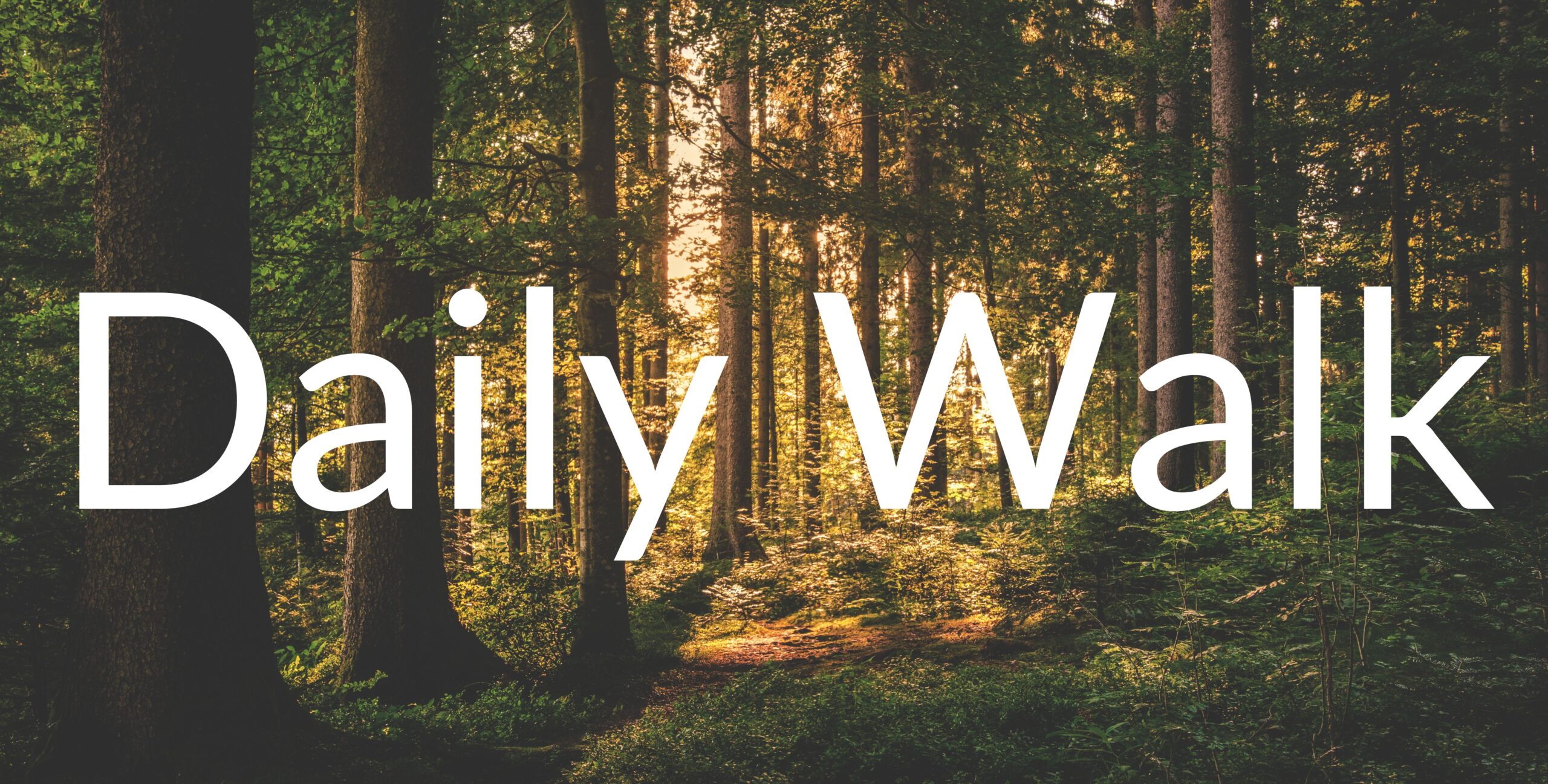 Daily Walk Bible Schedule