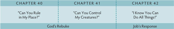 Walk Thru the Bible