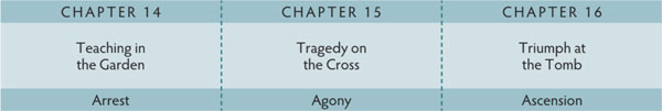 Walk Thru the Bible