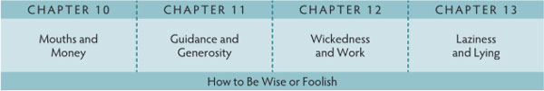 Walk Thru the Bible