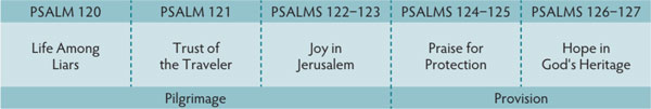 Walk Thru the Bible