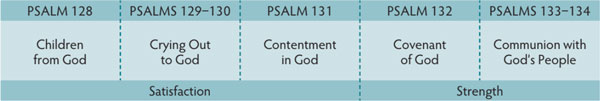 Walk Thru the Bible