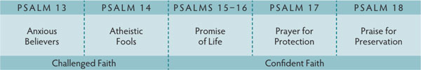 Walk Thru the Bible
