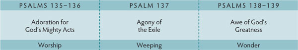 Walk Thru the Bible
