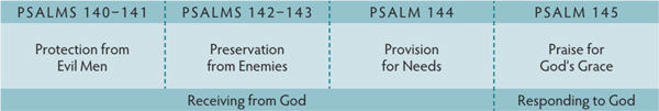 Walk Thru the Bible