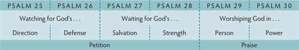 Walk Thru the Bible