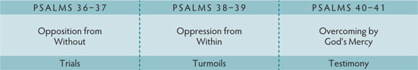 Walk Thru the Bible
