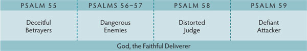 Walk Thru the Bible