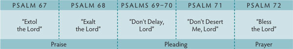 Walk Thru the Bible