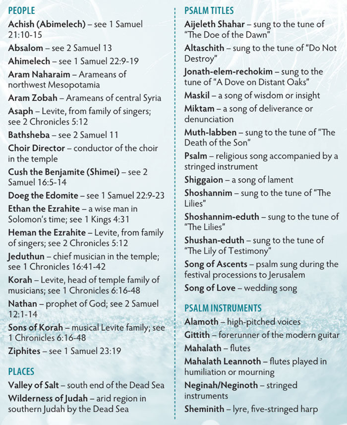 Walk Thru the Bible