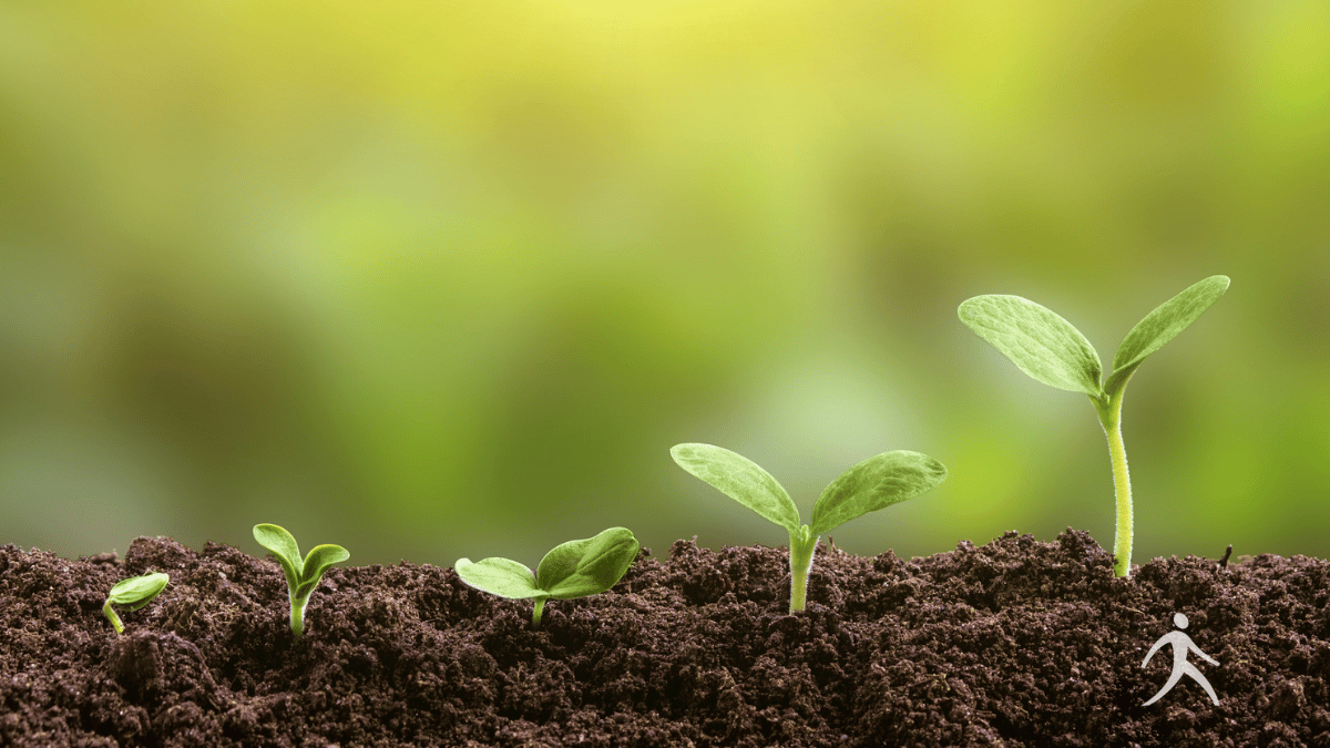 Illustration representing the life-giving nature of the Word