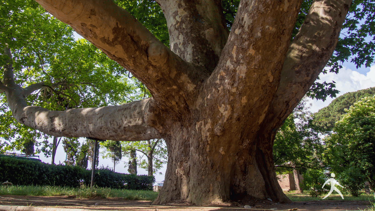 Illustration representing the eternal nature of God's Word