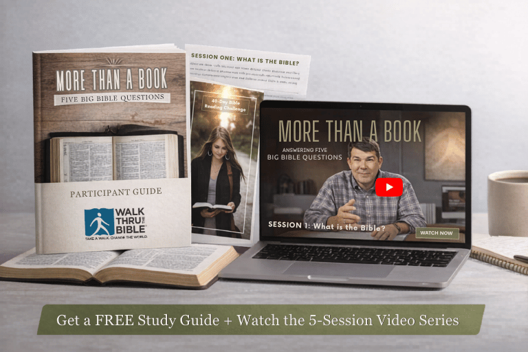 More Than A Book Study