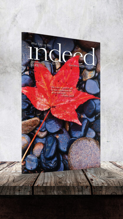 indeed Magazine